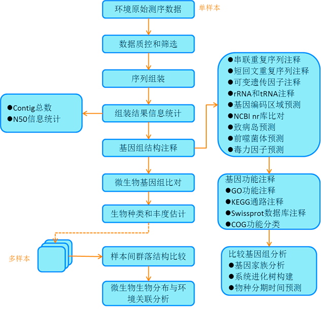 宏基因组分析流程图.png